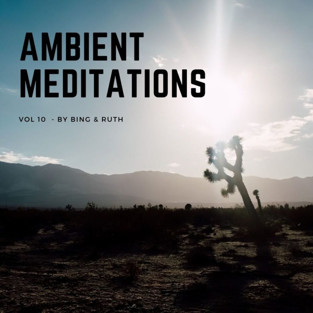 Ambient Meditations Podcast Vol 10 – Bing & Ruth (David Moore)