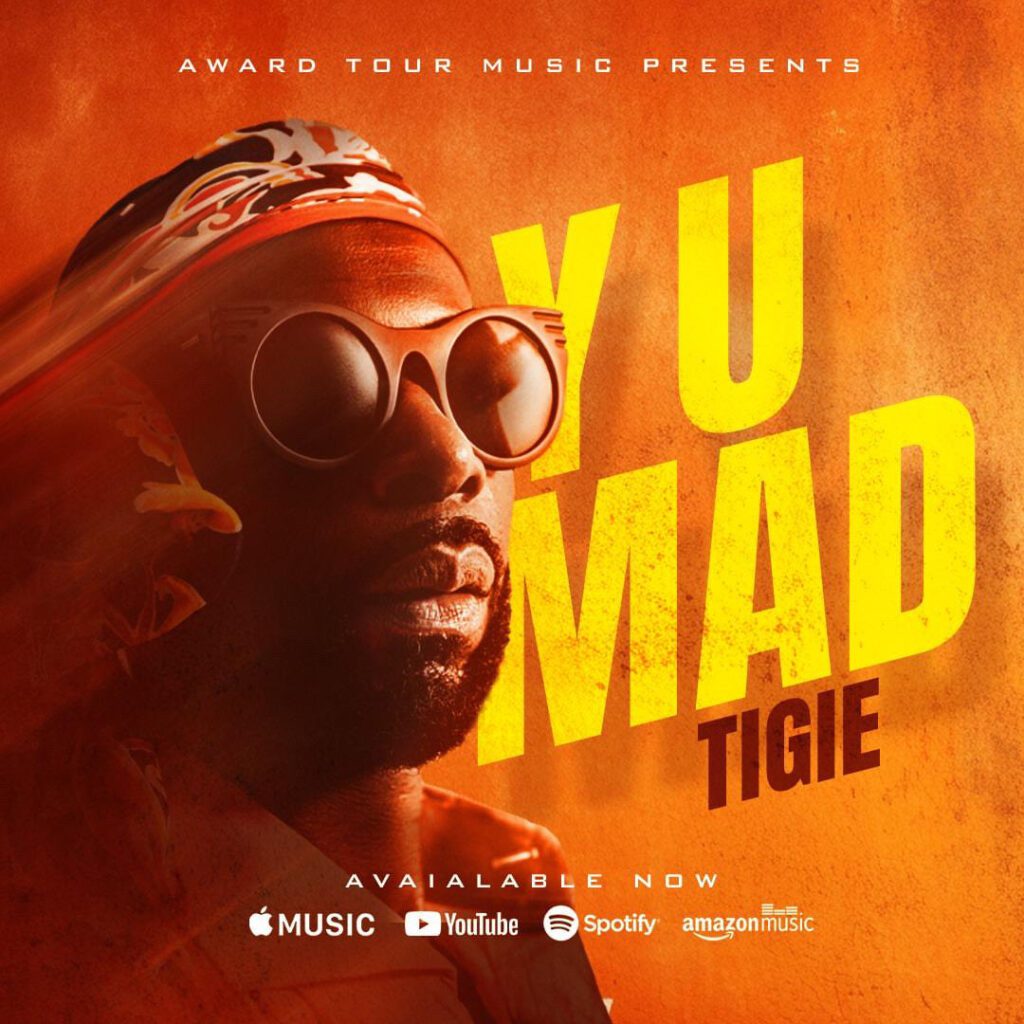 Tigie’s rise as an icon of cultural fusion in Afropop with “Y U Mad”